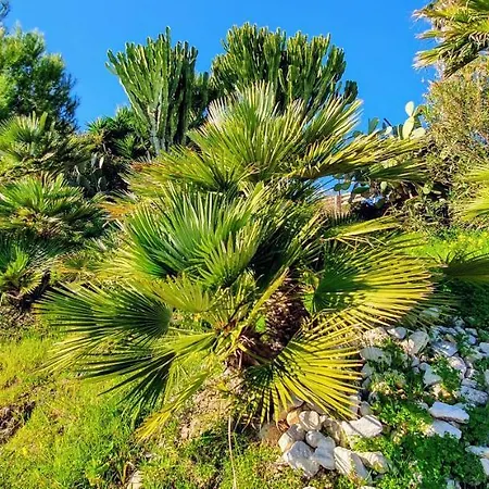 Indipendente A Due Passi Dal Mare * Fontane Bianche