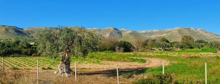 Indipendente A Due Passi Dal Mare * 冯塔尼比安奇