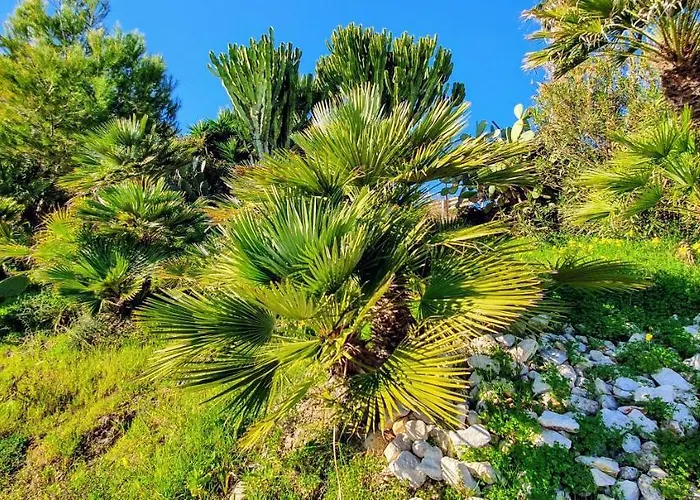 Indipendente A Due Passi Dal Mare * 冯塔尼比安奇