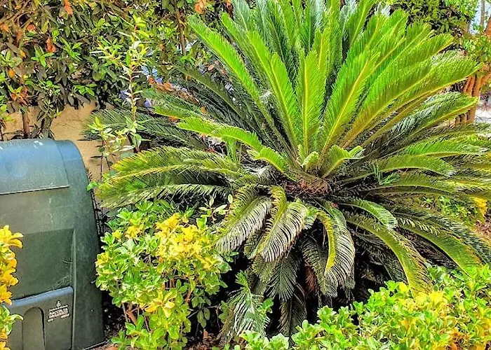 别墅 Indipendente A Due Passi Dal Mare